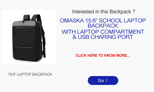 031-LAPTOP-BACKPACK