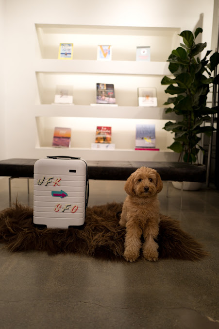 DM_20250227172608_004