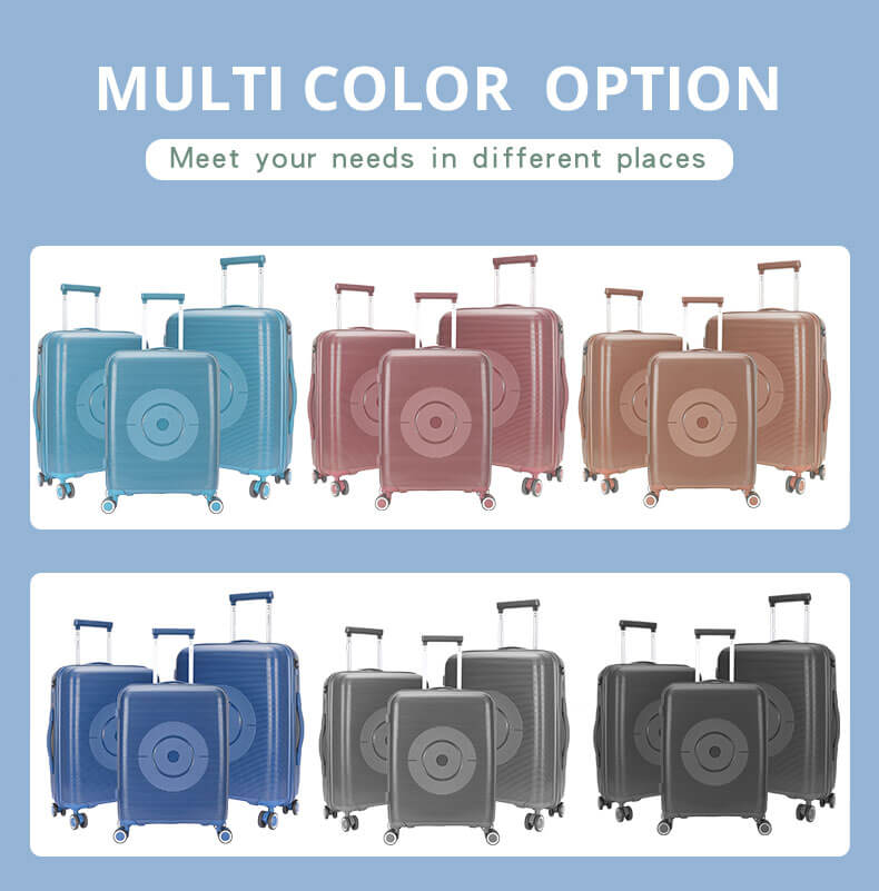 PP luggage (5)