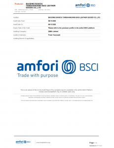 Summary Audit Report BSCI 2021_00